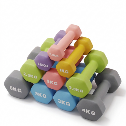 FitEase Adjustable Dumbbell Pair