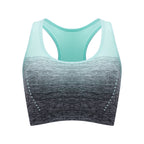 FlexAir Sports Bra