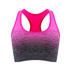 FlexAir Sports Bra