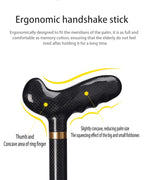 HikeSure Carbon Assist Cane