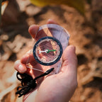 TrailGuide Compass Pro