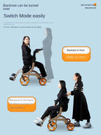 Dual Ease 2 in 1 Rollator Transport Chair