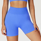Seamless Fitness Shorts
