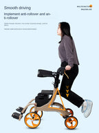 Dual Ease 2 in 1 Rollator Transport Chair