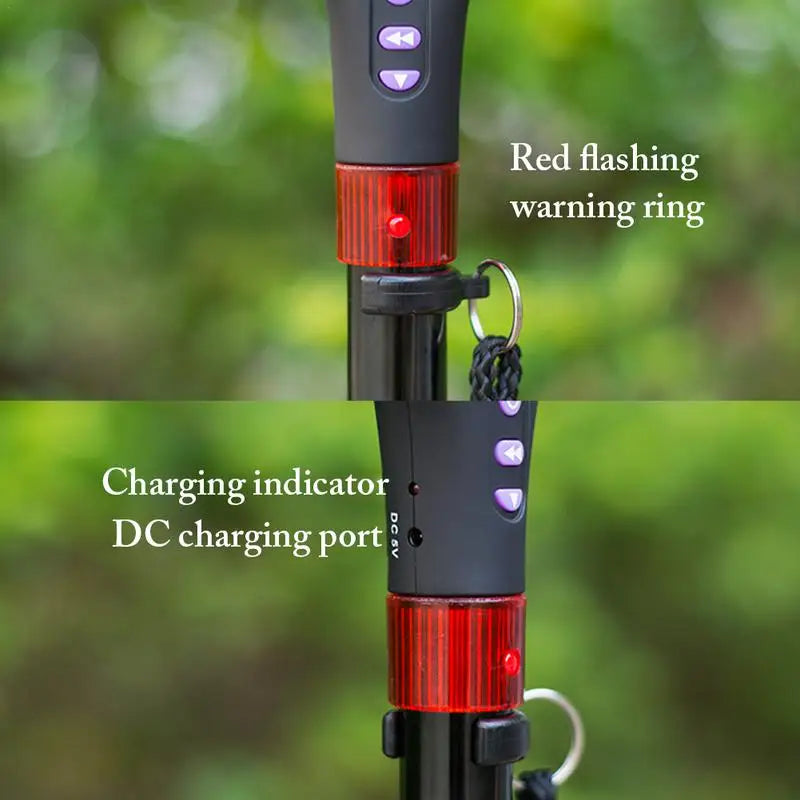 SafeStep Smart Cane