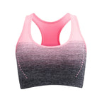 FlexAir Sports Bra