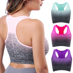 FlexAir Sports Bra