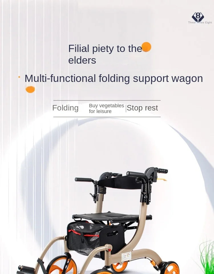 Dual Ease 2 in 1 Rollator Transport Chair