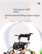 Dual Ease 2 in 1 Rollator Transport Chair